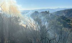 Kastamonu’da korkutan yangın: 30 dönüm arazi kül oldu!