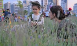 Keçiören’de 2. Geleneksel Lavanta Festivali düzenlendi