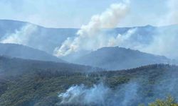 Kocaeli’ndeki orman yangınına müdahale devam ediyor