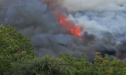 İzmit’te ağaçlık alanda korkutan yangın