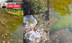 Kurtuluş Parkı'nda süs havuzu çöplüğe döndü!