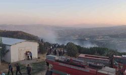 Manisa’da ormanlık alanda yangın çıktı