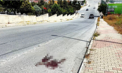 Mezarlık önünde dehşet! Kardeş kavgası kanlı bitti
