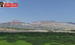 Nallıhan’daki Kız Tepesi Tabiat Anıtı doğaseverleri büyülüyor