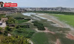 Nallıhan Kuş Cenneti, kuraklık riskiyle karşı karşıya