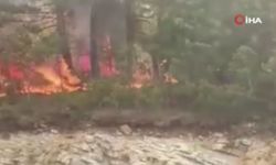 Bolu'da orman yangını başladı: Ekipler müdahale ediyor