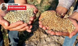 Polatlı Ticaret Borsası'nda işlem hacmi düştü, fiyatlar yükseldi!