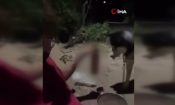 Polatlı’da akıl almaz olay: Köpeğine zorla alkol içirdi