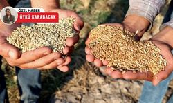 Polatlı’da Borsa hareketli! Buğday ve arpa fiyatları yükseliyor