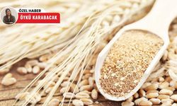 Polatlı Ticaret Borsası’nda temmuz bereketi: 114 bin ton ürün satıldı