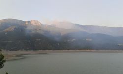 Sinop’taki orman yangınına karadan ve denizden müdahale ediliyor