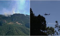 Sinop’ta soğutma çalışmaları devam ediyor