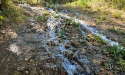 Balıkesir'deki deprem su kaynaklarının yerini değiştirdi!