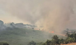 Susurluk’ta ormanlık alanda yangın çıktı