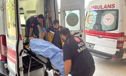 Tarım işçilerini taşıyan minibüs uçuruma yuvarlandı: Çok sayıda ölü ve yaralı var!