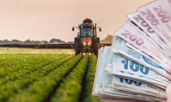 Tarımda nüfus yaşlanıyor: Hükümetten genç çiftçiye teşvik planı