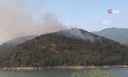 Tokat’taki orman yangını kontrol altına alınmaya çalışılıyor