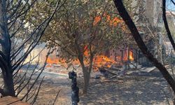 Çanakkale'deki orman yangınında villalar da yandı
