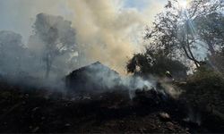 İzmir'de yangın korkunç boyutta: Evlere sıçradı