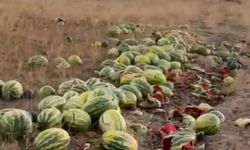 Yol kenarına bırakılan karpuzlar tepki çekti