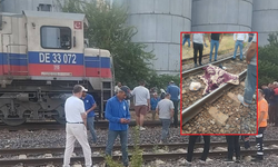 Hemzemin geçitinde feci ölüm! Trenin çarptığı kadın can verdi