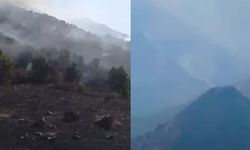 Yüksekova'daki yangın iki gündür devam ediyor!