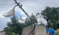 Ağrı'da şiddetli fırtına: 74 yapıda hasar oluştu