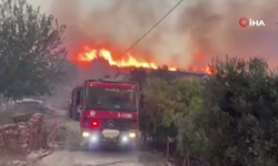 Alanya'daki orman yangını devam ediyor! 1 mahalle boşaltıldı