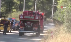 Antalya Serik’te ormanlık alanda çıkan yangında 1 gözaltı