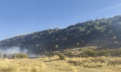 Anız yangını ormanlık alana sıçradı