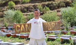 Arılarına eğitim verdi: Bal arıları yazı yazdı!