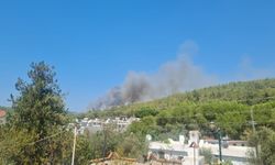 Bodrum’da ormanlık alanda yangın çıktı