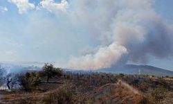 Çanakkale'de tarım arazisinde başlayan yangın ormanlık alana sıçradı