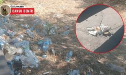 Başkentte otobüs durakları çöplüğe döndü