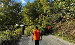 Devrilen ağaç, vatandaşlar tarafından kaldırıldı