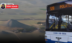 Dünya Mirası Gordion’a ulaşım yok! Turistler mağdur oldu