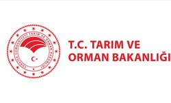 FİDAN ÜRETİM HİZMETİ ALINACAKTIR