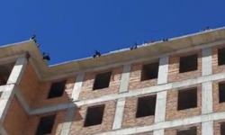 İnşaat alanında şoke eden olay! Maaşını alamayan işçiler çatıya çıktı