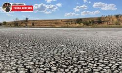 Ankara’da kuraklığın acı tablosu: Kızılca Göleti tamamen kurudu