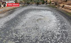 Kızılca Göleti kurudu, kötü koku vatandaşı canından bezdirdi