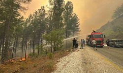 Muğla'daki orman yangınlarına müdahale 36 saattir sürüyor