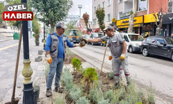 Polatlı Belediyesi’nden 104. yıla 104 fidan