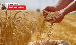Polatlı Ticaret Borsası'nda eylül ayı hızlı başladı! Fiyatlar yükselmeye devam ediyor