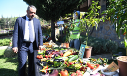 Pursaklar Belediyesinden ata tohumlarıyla bereketli hasat