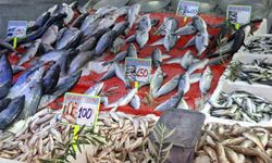 Samsun'da balık tezgahları hareketlendi