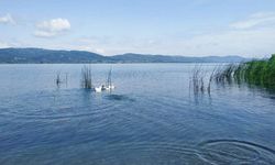 Sapanca Gölü'nde tehlike çanları çalıyor