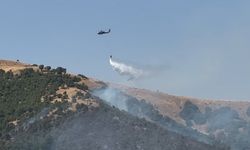 Şemdinli’deki orman yangınına müdahale devam ediyor