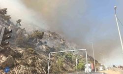 Aydın Söke’de çıkan yangını söndürme çalışmaları devam ediyor