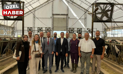 Tarım ve hayvancılık krizdeyken Anahtar Parti sahaya indi: Polatlı'da üreticinin sorunlarını dinlediler