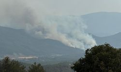 Karabük'ye yine orman yangını! Şehrin iki noktası alevlere teslim